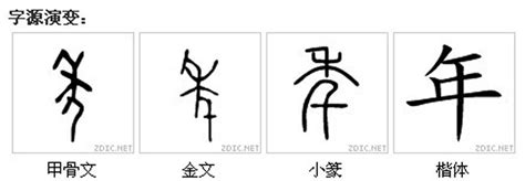 年的古字|年字形演变字源